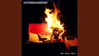 The Real Mess