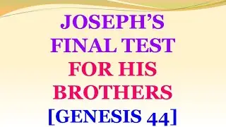 Joseph's Final Test for His Brothers [Genesis 44] - Alric Williams