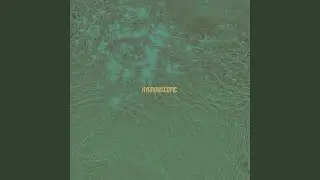 hygrowscopic