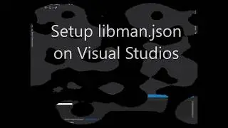 How to setup libman.json on Visual Studios