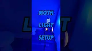 Moth Light Test!