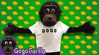 GOGO Gorilla Intro | Get Ready to Go Go Go!