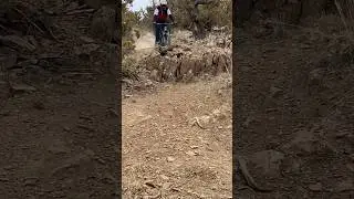 Who likes riding rock gardens? #mtb #ytshorts #emtb