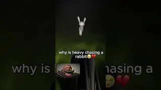 Heavy weapons guy chasing a rabbit