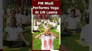 PM Modi Leads Grand Yoga Session At UN Headquarters