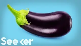 Why Don&rsquo;t Humans Have a Penis Bone?