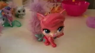 Pawcation Color Change Palace Pets