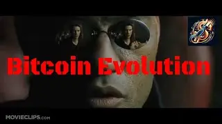 Bitcoin Evolution: Unplug From the Financial Matrix