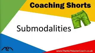 Submodalities with The NLP Master Coach