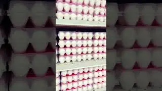 What can $1 United States money  get you in the Phillipines #shortsfeed #eggs #grocery #shortsviral