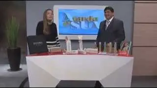 Programa A tarde &eacute; sua com S&ocirc;nia Abr&atilde;o