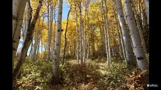 Elevated Tranquility A Relaxing Flight Through Telluride Natural Oasis relaxing video in nature.