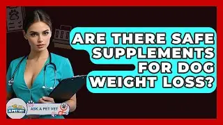 Are There Safe Supplements For Dog Weight Loss? - Ask A Pet Vet