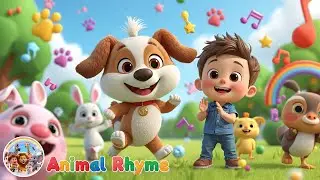 BINGO Dog Song + More Rhymes | Classic Animal Rhyme | 35+ Minutes Fun