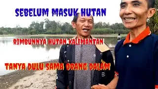 suasana hutan kalimantan