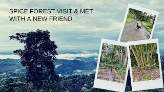 | A casual vlog from Munnar | Spice forest visit just before we left Munnar | Kerala vlog |