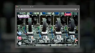 Braun 