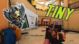Tiny but good | No Commentary | BOCW | NUCLEAR