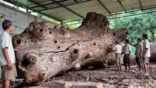 AUSTRALIAN HARDWOOD SAWMILLS‼️Dramatic wood splits