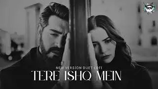 Tere Ishq Mein | Sad Version Duet Lofi | Music Modify | New Hindi Song 2026