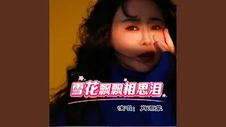 雪花飘飘相思泪