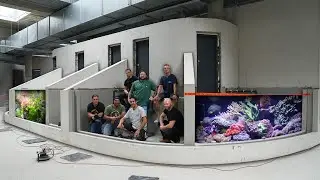 How to build a ZOO AQUARIUM - with New Wave Concepts