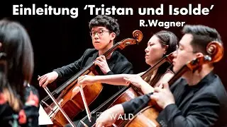 R.Wagner Einleitung 'Tristan und Isolde' for 6 Cello | Wald Cello