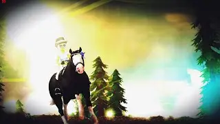 Training Storm! (My new American Quarter Horse!) // Level 1-5 // Star Stable // Dalka Seacake SSO