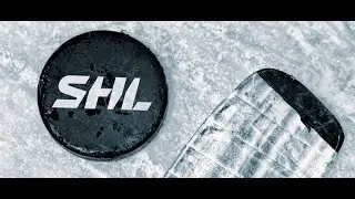 Roliga moments från SHL 18/19