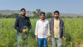 Secrets of Successful Fennel Farming (Saunf Ki Kheti) - Farmer Interview @nextGenfarmingwithCp 