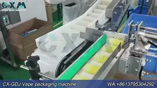 Vape packaging machine | Disposable vape packaging machine | E-cigarette packaging machine