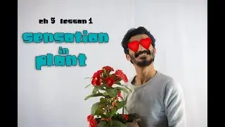 sensation in plant 2 sec (2nd term)