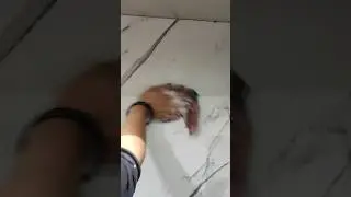 kitchen ki deep cleaning  🧹#shortfeed #yt #life with immo