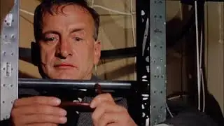 How to Survive a 1970's Disaster Movie