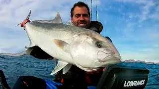 SERIOLE/AMBERJACK: p&ecirc;che en mer en kayak, big fish