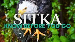 Visiting Sitka in 2025: What to Know Before You Go