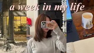 직장인 Vlog | 첫눈 온 날 밤산책 ❄️ | 밥 해먹고 아침공부하는 집순이 일상 | 갓생러 지망생
