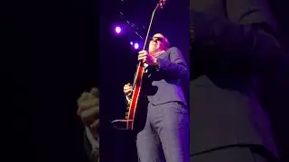 Joe Bonamassa ES 335 Friday 3/8 2019