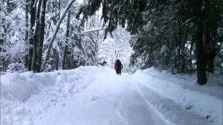 Flûte Alors! : L'inverno - A. Vivaldi