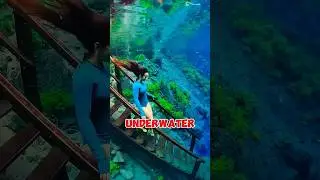 Shocking! Brazil&rsquo;s Crystal-Clear Underwater Lake & Monkeys Stealing Floating Coconuts