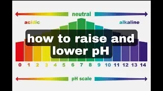 Raising and lowering aquarium pH safely