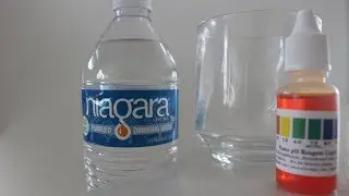 Niagara Water PH Level Test | Acidic, Neutral, or Alkaline?