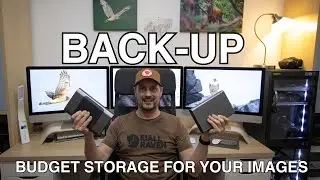 BUDGET DIGITAL Photography STORAGE | RAID, NAS, SSD or HDD |  Backing up your Photographic Images