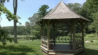 Connecticut College Arboretum in 4K