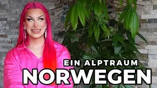 KEIN fliessendes Wasser, VERDRECKTE Airbnb&rsquo;s und SCHROTT Elektro Autos.