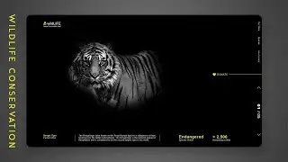 wildLIFE Animal Conservation Fund | Website Design UI Concept