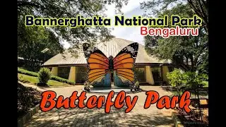 Butterfly Park in Bannerghatta National Park, Bengaluru - Bannerghatta Butterfly Park