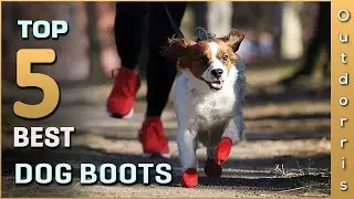 Top 5 Best Dog Boots Review in 2025