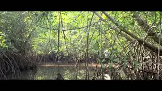 This Changes Everything: Capitalism vs the Climate - Book Trailer