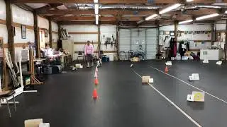 Virtual Rally - Novice Course 4